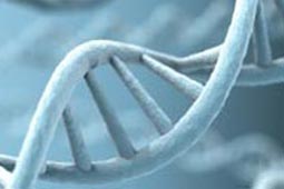 【国际英文版】全球通用的在线短信呼死你